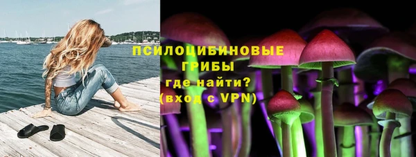 Альфа ПВП Нягань