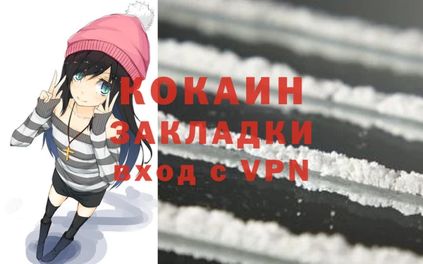 кокс Няндома