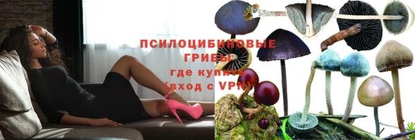 герыч Новозыбков