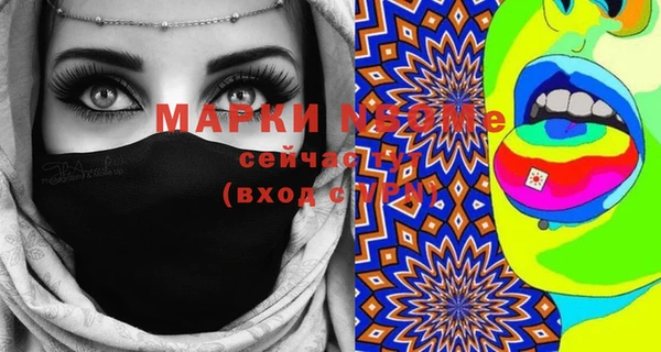 индика Новокубанск