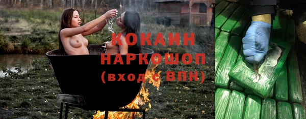 кокс Няндома