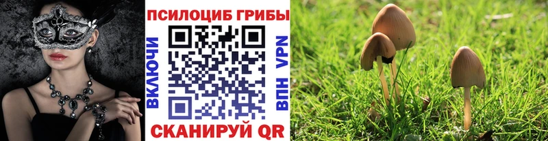 blacksprut   Лакинск  Галлюциногенные грибы мухоморы 